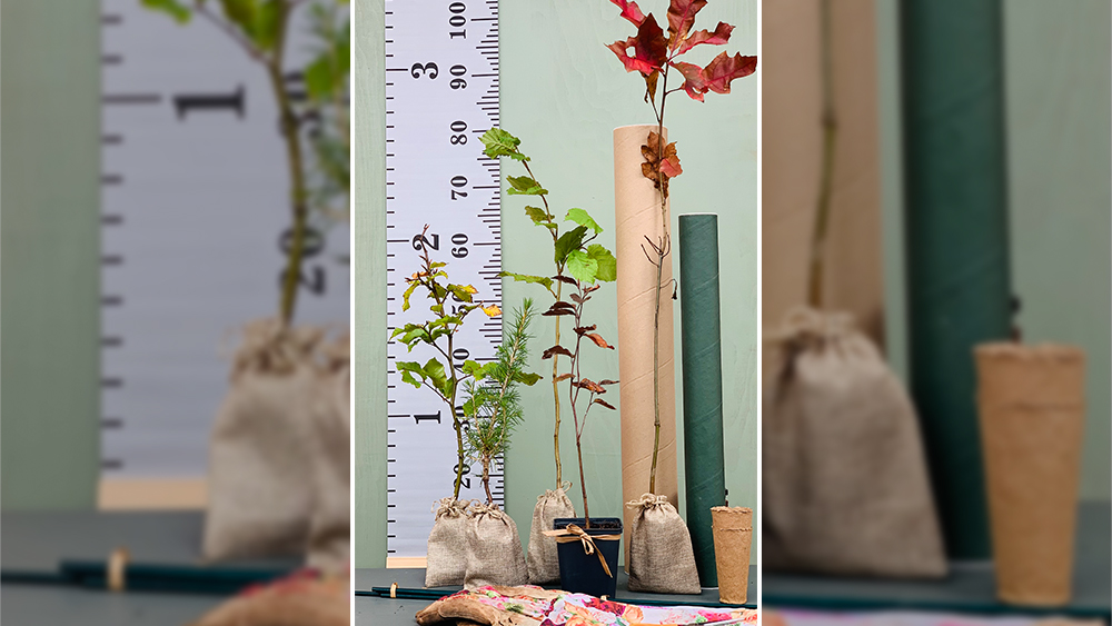 Win a baby tree or tree pack Worth over £100!